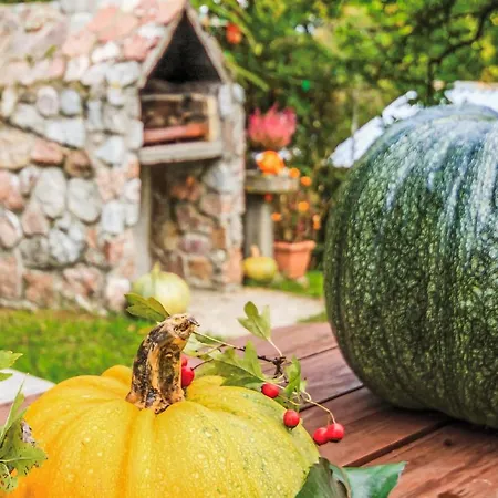 Awesome In Mragowo With Kitchen Holiday home